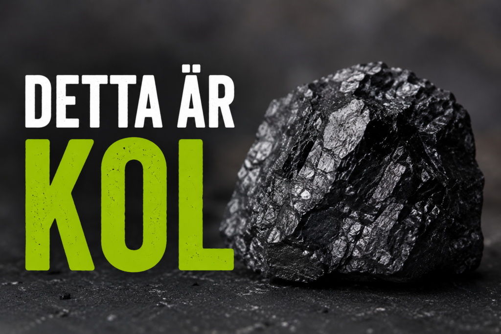 vad är kolets kretslopp